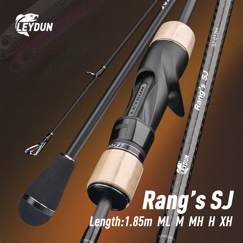 LEYDUN Rang’s SJ Slow Jigging  - Fishing Rod Surf review and price